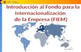 Fondo para la Internacionalización  de la Empresa   -  FIEM