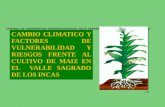 CENTRAL DE  COOPERATIVAS AGROINDUSTRIALES VALLE  SAGRADO DE LOS INCAS  (AGROVAS-CALCA)