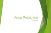 Areas  Protegidas