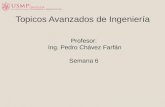 Profesor : Ing. Pedro Chávez  Farfán Semana 6