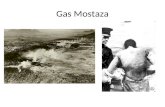 Gas Mostaza