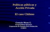 Políticas públicas y  Acción Privada El caso Chileno