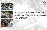 Los principios tras la validación de los datos de CBMS