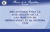 MECANISMOS PARA LA AGILIZACIÓN DE LA LIQUIDACIÓN DE OPERACIONES EN EL SISTEMA CUD