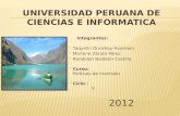 Universidad Peruana de Ciencias e Informatica