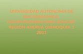 UNIVERSIDAD AUTONOMA DE BUCARAMANGA  COMPUTADORES PARA EDUCAR  REGION ANDINA ORINOQUIA 1 2011