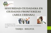 SEGURIDAD CIUDADANA EN CIUDADES FRONTERIZAS (AREA URBANA)