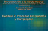 Capítulo 2: Procesos Emergentes y Complejidad