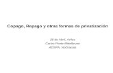 Copago, Repago y otras formas de privatización