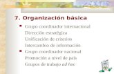 7. Organización básica