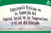 Experiencia Mexicana en La formación del Capital Social en las Cooperativas y el rol del Asociado