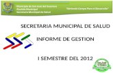 SECRETARIA MUNICIPAL DE SALUD INFORME DE GESTION I SEMESTRE DEL 2012