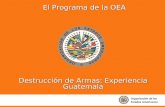 Destrucción de Armas: Experiencia Guatemala