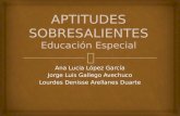 APTITUDES SOBRESALIENTES Educación Especial