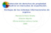 Marcelo Di Pietro Peralta Director Adjunto Oficina América Latina y Caribe OMPI