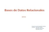 Bases  de Datos Relacionales