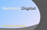 Herbario  Digital