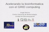 Acelerando la bioinformatica con el GRID computing