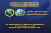 SALUD Y LA  CONVENCIÓN  DE   MINAMATA SOBRE  MERCURIO