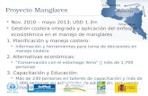 Proyecto Manglares