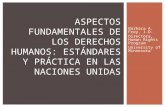 ASPECTOS FUNDAMENTALES DE LOS DERECHOS HUMANOS: ESTÁNDARES Y PRÁCTICA EN LAS NACIONES UNIDAS