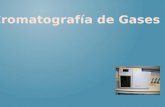 Cromatografía  de Gases