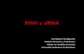 RNAi  y  siRNA