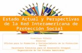 Estado Actual y Perspectivas de la Red Interamericana de Protecci ón Social