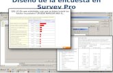 Diseño de la  encuesta en  Survey  Pro