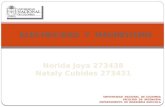 Norida Joya 273438 Nataly Cubides 273431