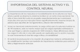 IMPORTANCIA DEL SISTEMA ACTIVO Y EL CONTROL NEURAL