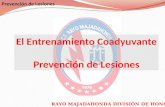 El  E ntrenamiento Coadyuvante Prevención de Lesiones