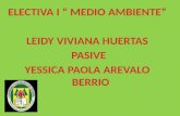 ELECTIVA I “ MEDIO AMBIENTE” LEIDY  VIVIANA HUERTAS  PASIVE YESSICA  PAOLA AREVALO BERRIO