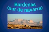 Bardenas (sur de navarra)