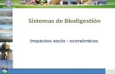 Sistemas de Biodigestión