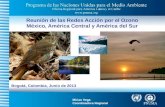 Reunión  de  las Redes Acción por el Ozono México, América Central y América del Sur