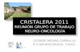 CRISTALERA 2011 REUNIÓN GRUPO DE TRABAJO  NEURO-ONCOLOGÍA