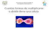 Cuantas formas de  multiplicarse  o dividir tiene una  célula