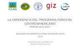 LA EXPERIENCIA DEL PROGRAMA FORESTAL CENTROAMERICANO PERFOR 2013-2017
