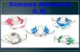 Simoes  Network S.N.