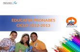 EDUCAFIN PRONABES CICLO 2012-2013