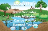 Ecosystem By : Juan Pablo Valencia Raúl González Iván Morales Carlos Patiño Samuel Testón