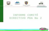 INFORME COMITÉ DIRECTIVO PDA No 2