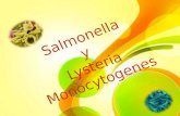 Salmonella y  Lysteria Monocytogenes