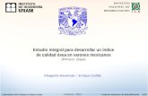 Estudio integral para desarrollar un índice de calidad ósea en varones  mexicanos (Primera  etapa)