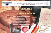 UROLOGIA CANCER VESICAL