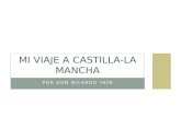 Mi viaje  a  Castilla -La Mancha