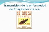 Transmisión de la enfermedad de  Chagas  por vía  oral