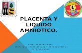 Placenta y liquido amniótico.