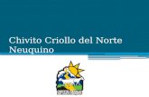 Chivito Criollo del Norte Neuquino
